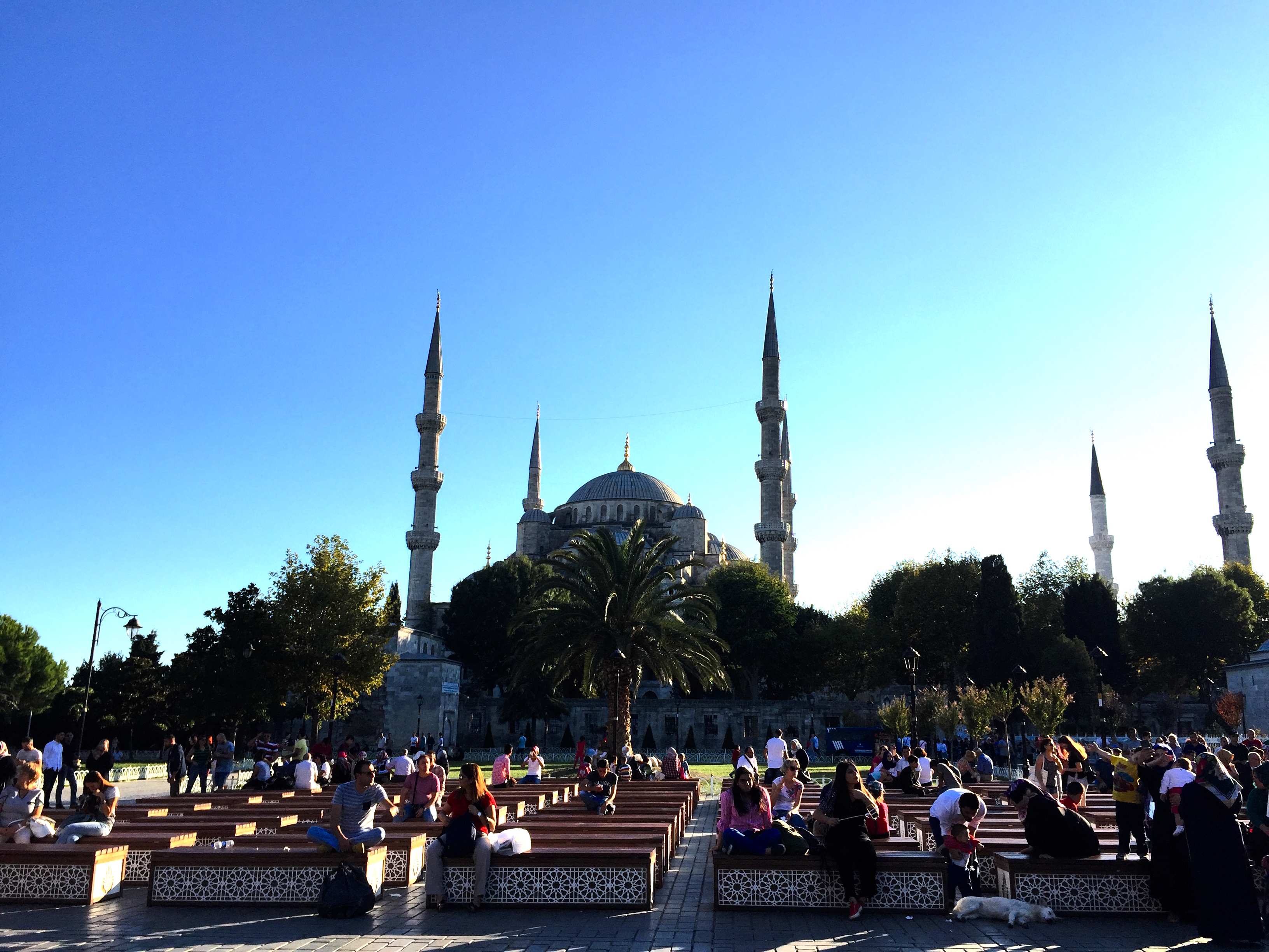 伊斯坦堡免費市區導覽】鮮豔的土耳其冰淇淋和市集中旋轉白裙的優雅男子